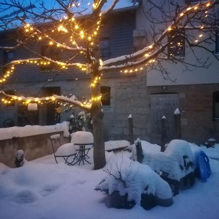 Ferienhof"Waldesel Rippersroda" Zewnętrze zdjęcie
