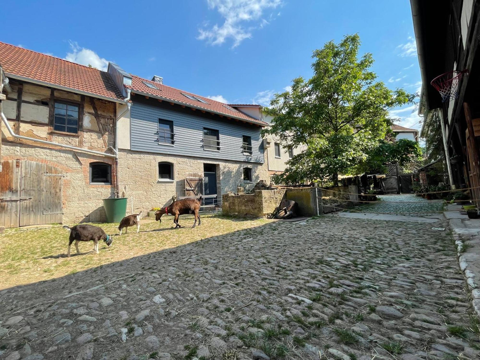 Ferienhof"Waldesel Rippersroda" Zewnętrze zdjęcie