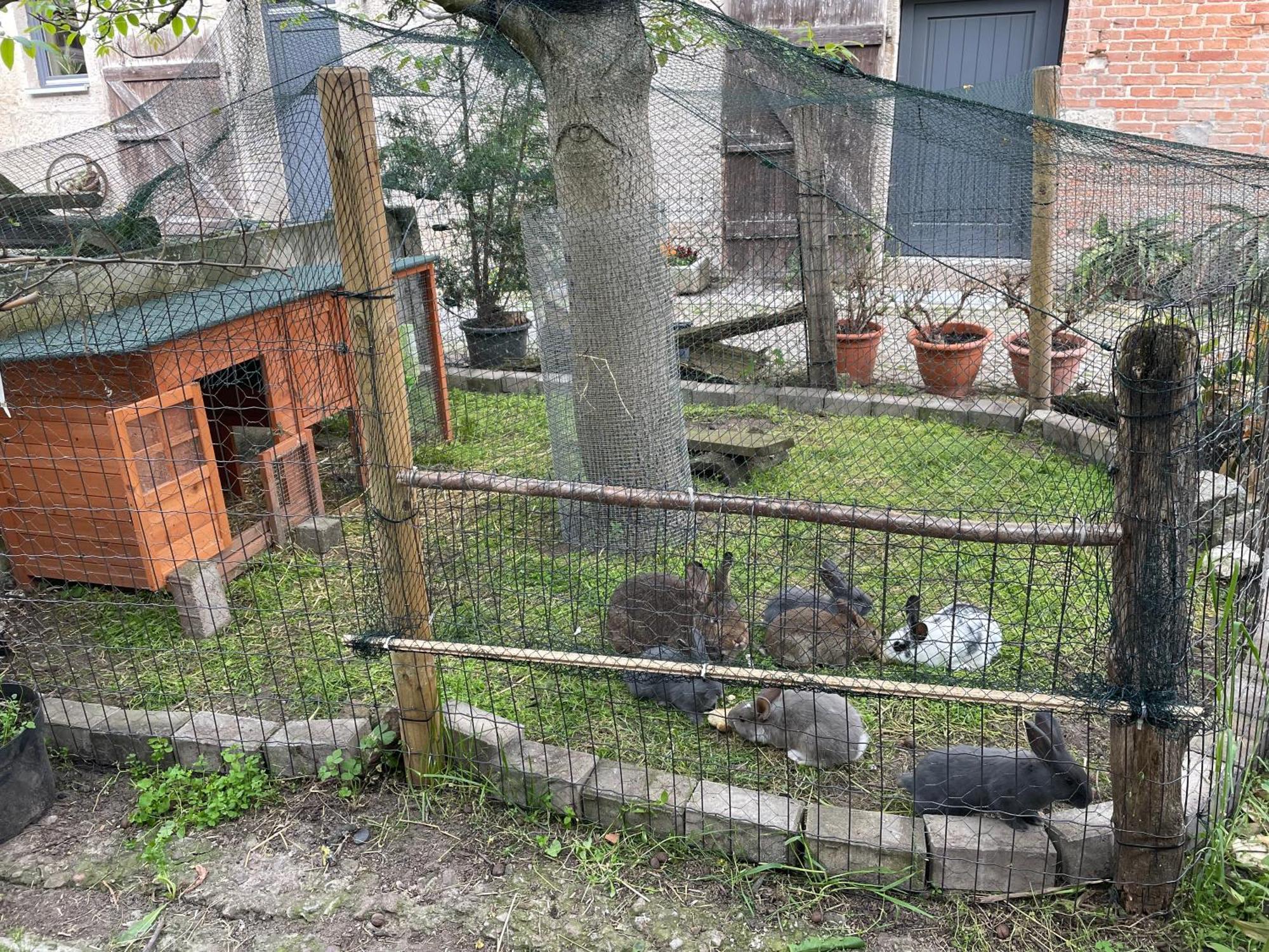 Ferienhof"Waldesel Rippersroda" Zewnętrze zdjęcie