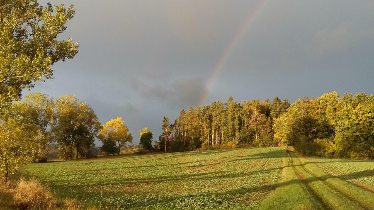 Ferienhof"Waldesel Rippersroda" Zewnętrze zdjęcie