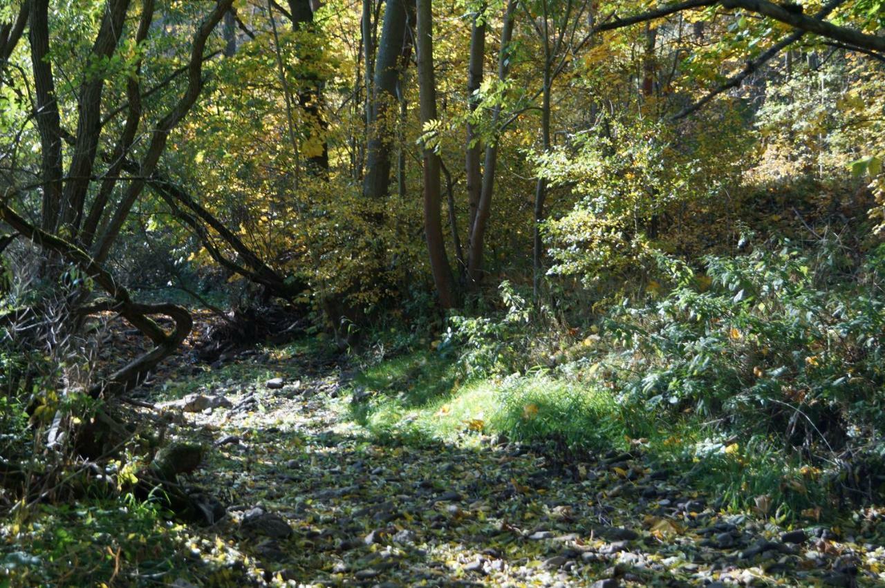 Ferienhof"Waldesel Rippersroda" Zewnętrze zdjęcie